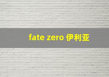 fate zero 伊利亚